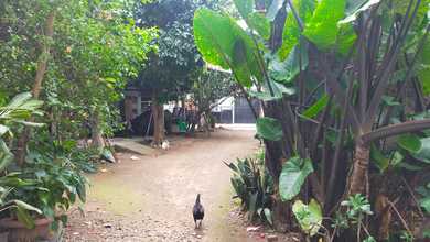Kavling Prestisius Dijual di Margonda, Depok, Harga 7,66 Miliar