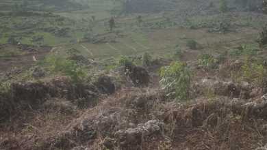 Tanah Prospektif di Area Gunem, Rembang, LT 12057m²