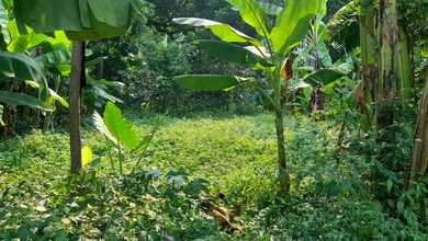 Dijual Tanah Prospektif di Sawangan, Depok, LT 833m²