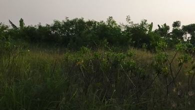 Dijual Tanah Premium di Cikarang, Bekasi, LT 2400m²